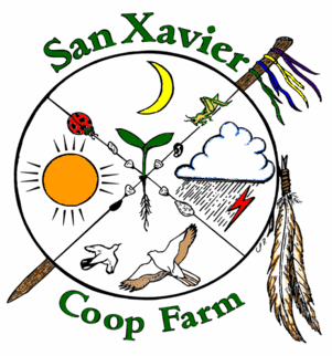 San Xavier Coop