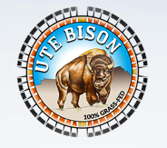 Ute Bison