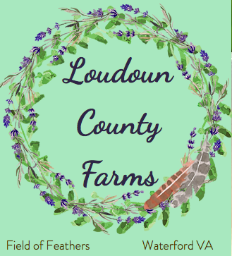 Loudun County Farms